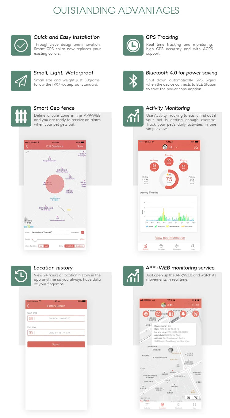 GPS Haustier Tracker mit App – Echtzeit Ortung für Hunde & Katzen | Taggytech