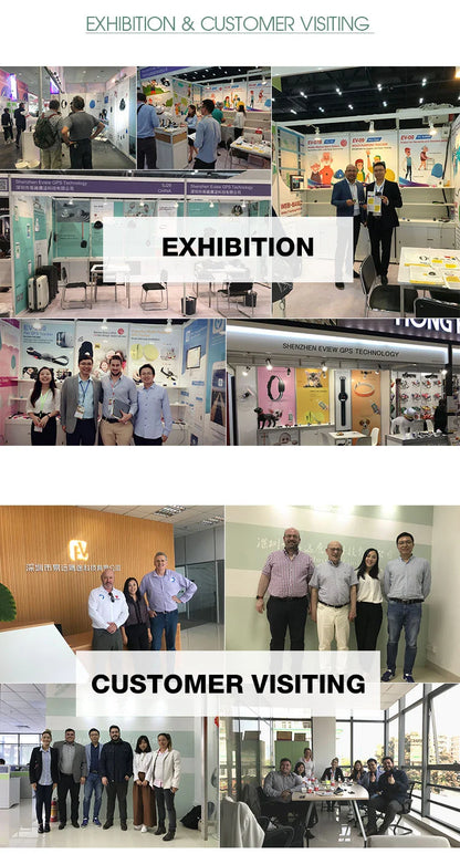 GPS Haustier Tracker mit App – Echtzeit Ortung für Hunde & Katzen | Taggytech