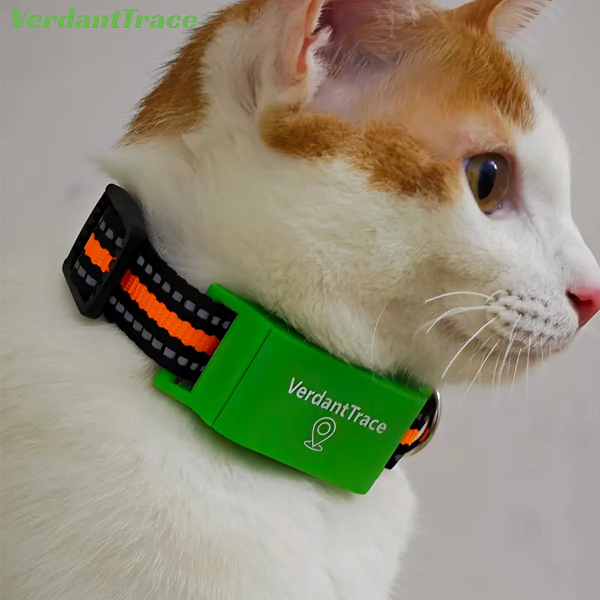GPS Tracker für Hunde & Katzen – 4G Haustier Tracker Halsband, IP67 wasserdicht, Echtzeit Ortung | TaggyTech
