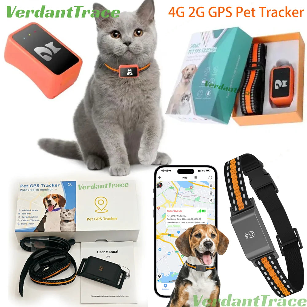 GPS Tracker für Hunde & Katzen – 4G Haustier Tracker Halsband, IP67 wasserdicht, Echtzeit Ortung | TaggyTech
