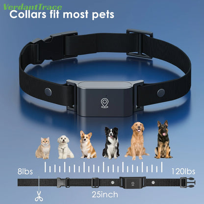 GPS Tracker für Hunde & Katzen – 4G Haustier Tracker Halsband, IP67 wasserdicht, Echtzeit Ortung | TaggyTech