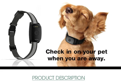 GPS Haustier Tracker mit App – Echtzeit Ortung für Hunde & Katzen | Taggytech