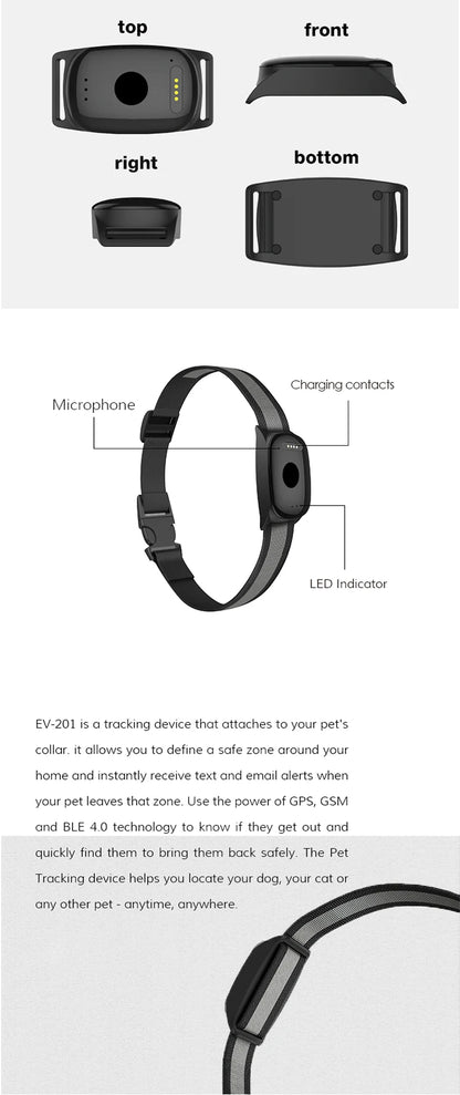 GPS Haustier Tracker mit App – Echtzeit Ortung für Hunde & Katzen | Taggytech