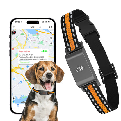 GPS Tracker für Hunde & Katzen – 4G Haustier Tracker Halsband, IP67 wasserdicht, Echtzeit Ortung | TaggyTech