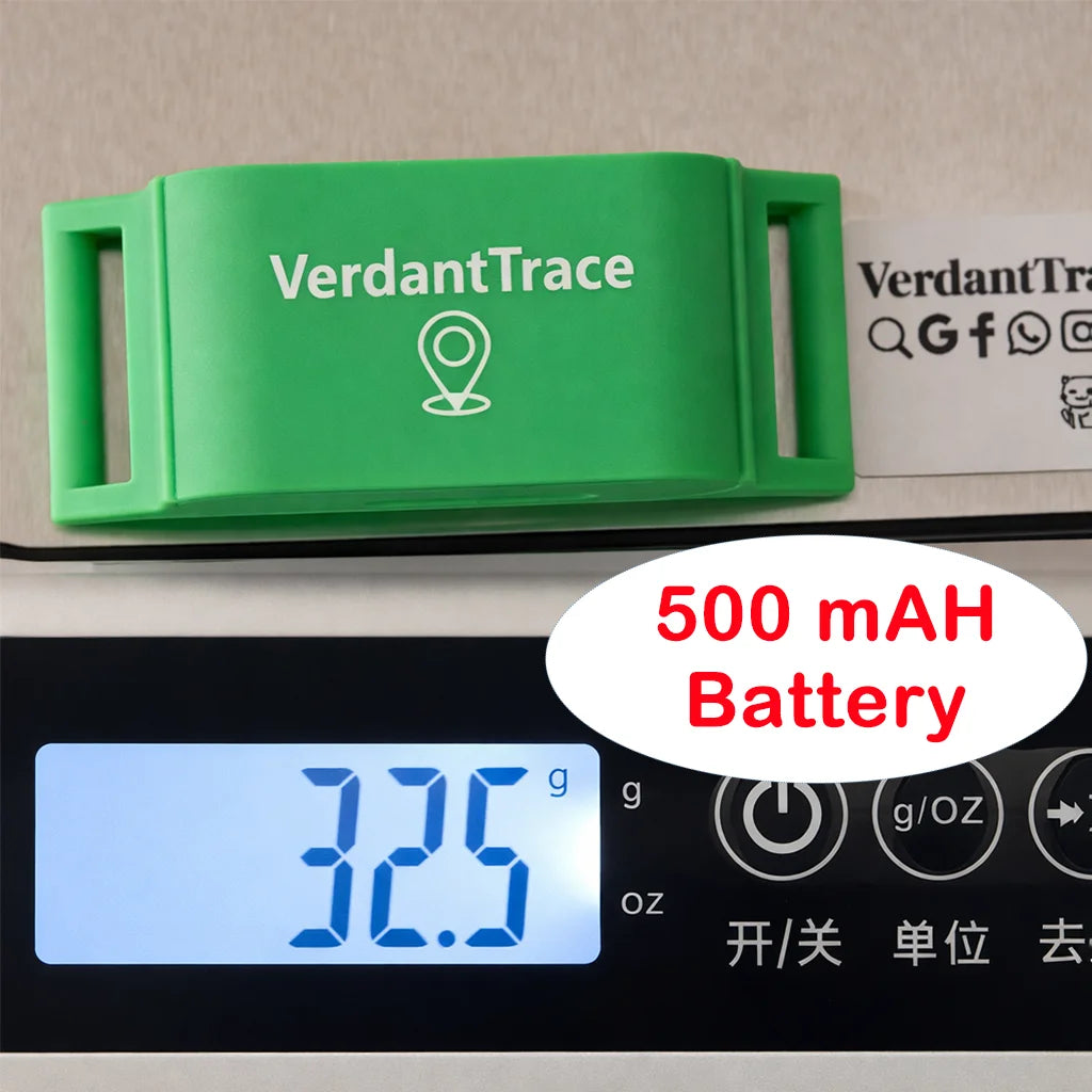 GPS Tracker für Hunde & Katzen – 4G Haustier Tracker Halsband, IP67 wasserdicht, Echtzeit Ortung | TaggyTech