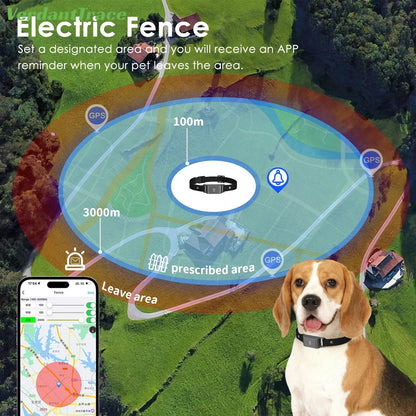GPS Tracker für Hunde & Katzen – 4G Haustier Tracker Halsband, IP67 wasserdicht, Echtzeit Ortung | TaggyTech