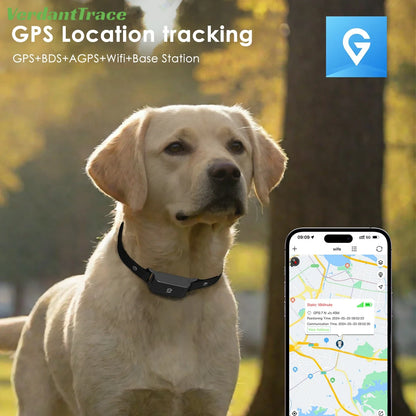 GPS Tracker für Hunde & Katzen – 4G Haustier Tracker Halsband, IP67 wasserdicht, Echtzeit Ortung | TaggyTech